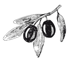 Иллюстрация к книге — 365 рецептов на каждый день [i_193.jpg]