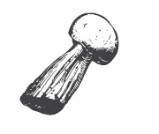 Иллюстрация к книге — 365 рецептов на каждый день [i_197.jpg]