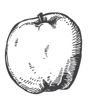 Иллюстрация к книге — 365 рецептов на каждый день [i_205.jpg]