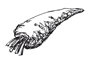 Иллюстрация к книге — 365 рецептов на каждый день [i_212.jpg]