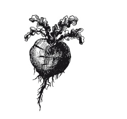 Иллюстрация к книге — 365 рецептов на каждый день [i_214.jpg]