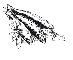 Иллюстрация к книге — 365 рецептов на каждый день [i_217.jpg]