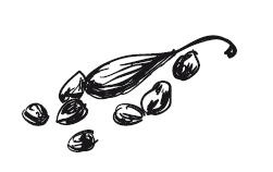 Иллюстрация к книге — 365 рецептов на каждый день [i_220.jpg]