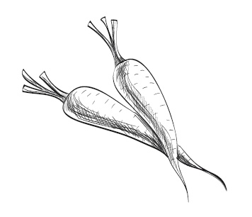 Иллюстрация к книге — 365 рецептов на каждый день [i_224.jpg]