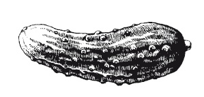 Иллюстрация к книге — 365 рецептов на каждый день [i_230.jpg]