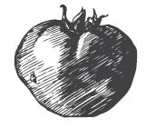 Иллюстрация к книге — 365 рецептов на каждый день [i_231.jpg]