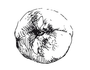 Иллюстрация к книге — 365 рецептов на каждый день [i_242.jpg]