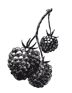 Иллюстрация к книге — 365 рецептов на каждый день [i_245.jpg]