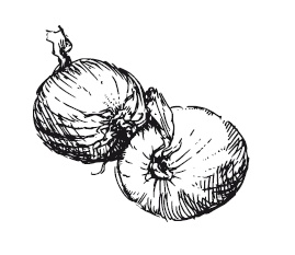 Иллюстрация к книге — 365 рецептов на каждый день [i_246.jpg]