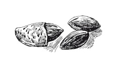 Иллюстрация к книге — 365 рецептов на каждый день [i_247.jpg]