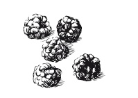 Иллюстрация к книге — 365 рецептов на каждый день [i_252.jpg]