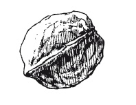 Иллюстрация к книге — 365 рецептов на каждый день [i_254.jpg]