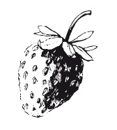 Иллюстрация к книге — 365 рецептов на каждый день [i_255.jpg]