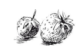 Иллюстрация к книге — 365 рецептов на каждый день [i_260.jpg]