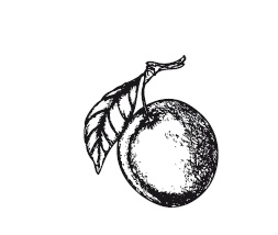 Иллюстрация к книге — 365 рецептов на каждый день [i_263.jpg]