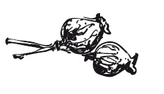 Иллюстрация к книге — 365 рецептов на каждый день [i_264.jpg]