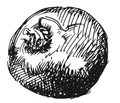 Иллюстрация к книге — 365 рецептов на каждый день [i_269.jpg]