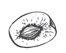 Иллюстрация к книге — 365 рецептов на каждый день [i_270.jpg]