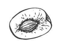 Иллюстрация к книге — 365 рецептов на каждый день [i_278.jpg]