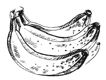 Иллюстрация к книге — 365 рецептов на каждый день [i_280.jpg]