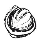 Иллюстрация к книге — 365 рецептов на каждый день [i_286.jpg]