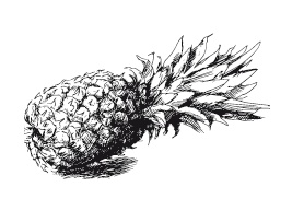 Иллюстрация к книге — 365 рецептов на каждый день [i_298.jpg]