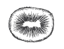 Иллюстрация к книге — 365 рецептов на каждый день [i_299.jpg]