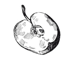 Иллюстрация к книге — 365 рецептов на каждый день [i_300.jpg]