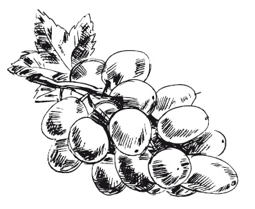 Иллюстрация к книге — 365 рецептов на каждый день [i_306.jpg]