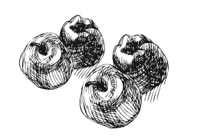 Иллюстрация к книге — 365 рецептов на каждый день [i_310.jpg]