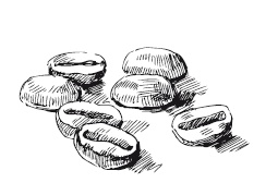 Иллюстрация к книге — 365 рецептов на каждый день [i_311.jpg]