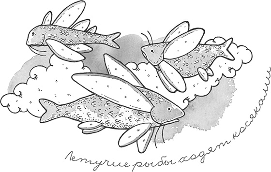 Иллюстрация к книге — Охотники за облаками [i_009.jpg]