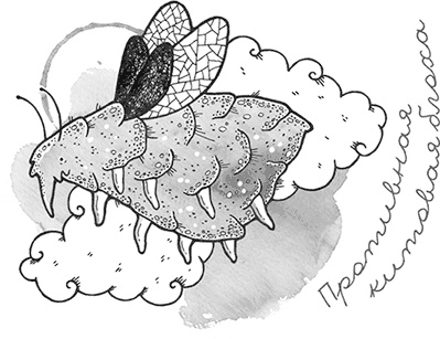 Иллюстрация к книге — Охотники за облаками [i_034.jpg]