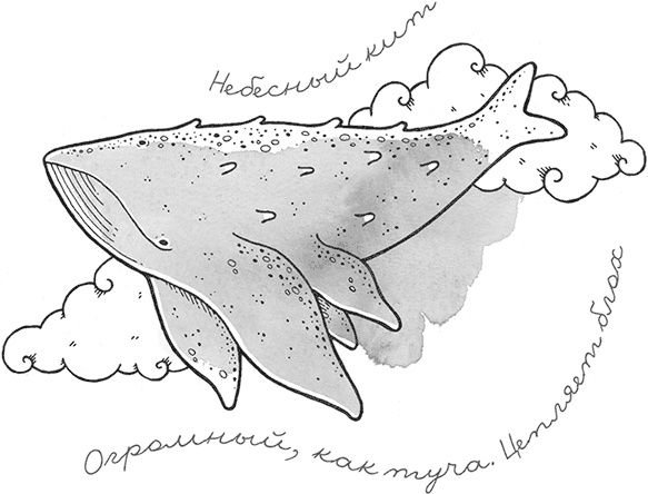 Иллюстрация к книге — Охотники за облаками [i_050.jpg]