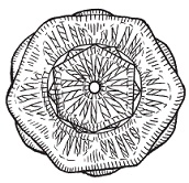 Иллюстрация к книге — Вязаные модные аксессуары. Сумочки, ремни, перчатки, шарфы [pic_70.jpg]