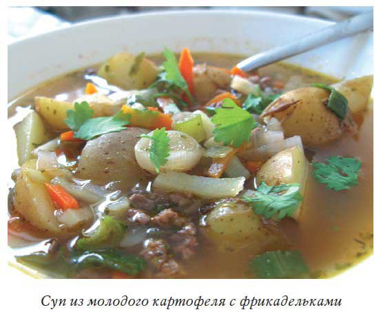 Иллюстрация к книге — Блюда из аэрогриля [i_004.jpg]