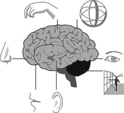 Иллюстрация к книге — Прокачай свой мозг! [_057.jpg]