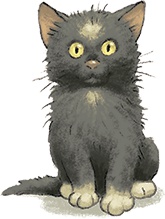 Иллюстрация к книге — Отважная Кайса и другие дети [i_021.jpg]