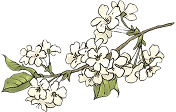 Иллюстрация к книге — Отважная Кайса и другие дети [i_033.jpg]