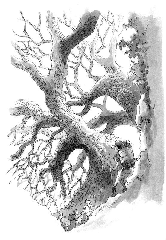 Иллюстрация к книге — Тоби Лолнесс. Книга 1. На волосок от гибели [i_004.jpg]