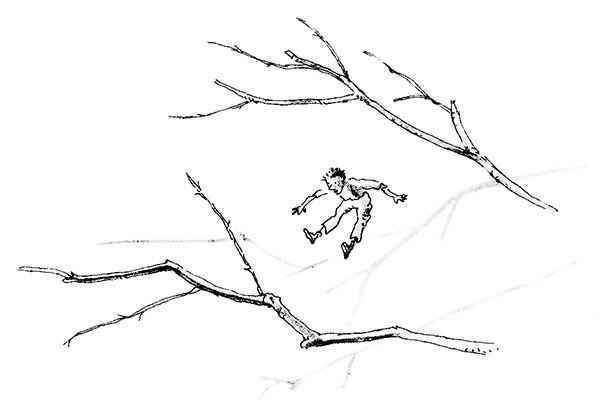 Иллюстрация к книге — Тоби Лолнесс. Книга 1. На волосок от гибели [i_013.jpg]