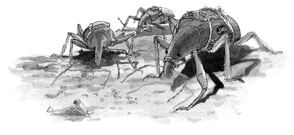 Иллюстрация к книге — Тоби Лолнесс. Книга 1. На волосок от гибели [i_031.jpg]