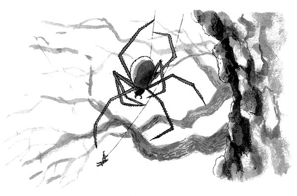 Иллюстрация к книге — Тоби Лолнесс. Книга 1. На волосок от гибели [i_039.jpg]