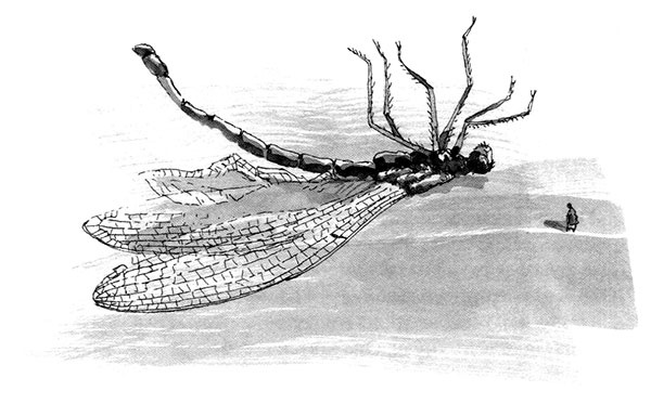 Иллюстрация к книге — Тоби Лолнесс. Книга 1. На волосок от гибели [i_043.jpg]