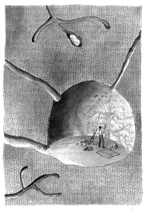 Иллюстрация к книге — Тоби Лолнесс. Книга 1. На волосок от гибели [i_046.jpg]