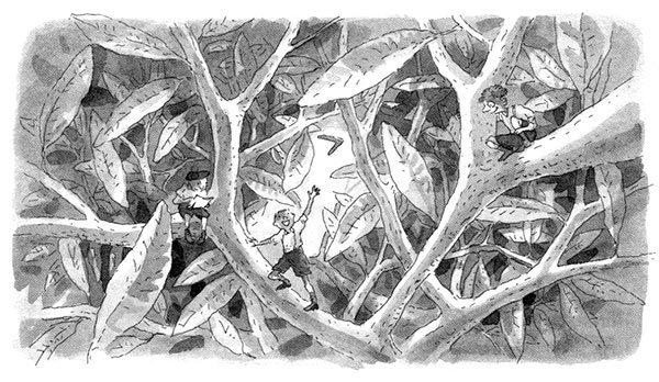 Иллюстрация к книге — Тоби Лолнесс. Книга 1. На волосок от гибели [i_065.jpg]