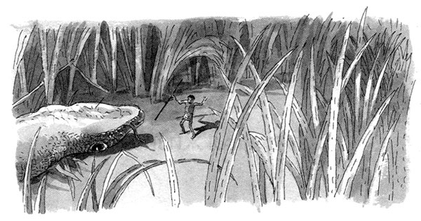 Иллюстрация к книге — Тоби Лолнесс. Книга 1. На волосок от гибели [i_071.jpg]