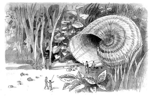 Иллюстрация к книге — Тоби Лолнесс. Книга 1. На волосок от гибели [i_074.jpg]