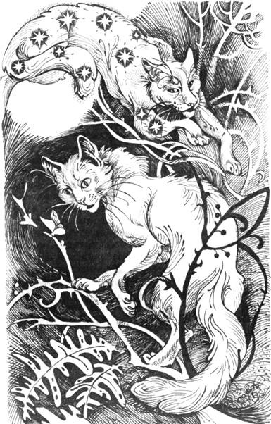 Иллюстрация к книге — Нерассказанные истории. История Остролистой [pic_14.jpg]