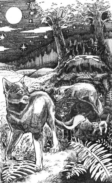 Иллюстрация к книге — Нерассказанные истории. История Остролистой [pic_20.jpg]